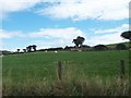 Sheep pastures south of Bwlchtocyn