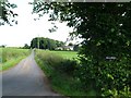 Road towards Bellrigg and Auchlane