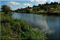 SP0444 : River Avon, Evesham by Philip Halling