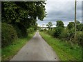 Towards Burnside, Whinnieliggate.