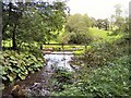 Watergate over the Buckland Burn