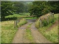 Entrance to High Banks and cattle grid