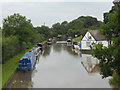 The Shroppie from Goldstone Common bridge