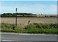 Dismantled military railway near Wanstone Farm