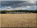 Poultry farm near Heron Holt