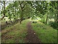 Canalside path, Brooklands