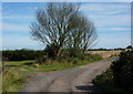 Track to Mattersey Priory