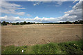 Field from West Tofts Road