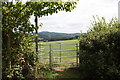 Kissing gate, Tanhouse lane