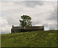 Redhill Farmhouse (possibly derelict)