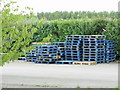 Pallets at Roundstone Pick-Your-Own, Littlehampton