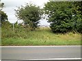 Footpath leaves road