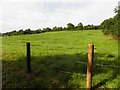 Corraghy Townland