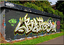 J3470 : Graffiti, Lagan towpath, Belfast (August 2010) by Albert Bridge