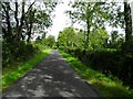 Road at Gortindarragh