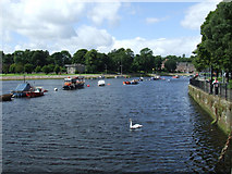 NS3975 : River Leven at Dumbarton by Thomas Nugent