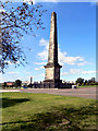 NS5964 : Nelson's Column, Glasgow Green by David Dixon