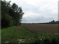 Footpath towards Bekesbourne