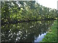 Bridgewater Canal