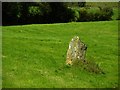 H5123 : Standing stone, Scarvy by Kenneth  Allen