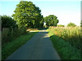 Red  House Lane towards Grange Farm