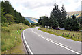 NN2630 : A85 in Glen Lochy by Steven Brown