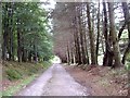 Lane between Gairn Farm and Gairnlea