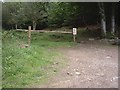 Craiglug entrance into Kingshill Wood