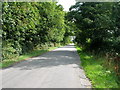 Minor road towards Thorpe le Street