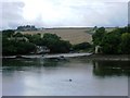 Looking Across Batson Creek