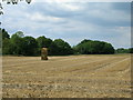 Farmland near Melbourne