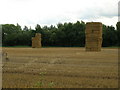 Farmland near Ryedale Farm