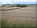 Summer crops near Milky Well