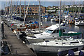 Milford Haven Marina