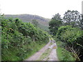 Track leading to Troed-rhiw-ruddwen