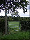 TM3775 : Footpath to the B1117 Halesworth Road & the Congregational Chapel by Geographer