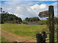 NX6745 : Signpost showing right of way to Torrs point by Helen Bowick