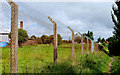 Surviving fields, Banbridge (10)