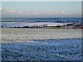 Winter view of Holy Island from West Kyloe