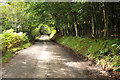 Road through woodland in Glen Lyon