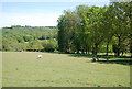 View east from Dewhurst Corner