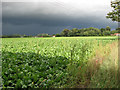 Black clouds over Besthorpe