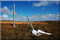 Green Wind Turbine Eats Grass