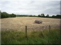 Field near Barthorpe