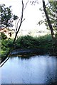 Pond near Broad Green Farm