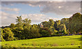 Distant view of Gaddesden Church