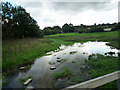 River Gade North of Great Gaddesden