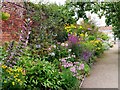 NZ1263 : Herbaceous border, Bradley Nursery & Gardens, Sled Lane, Wylam by Andrew Curtis
