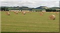 Round bales, Broomhall