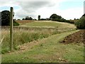 Footpath near Gosling Green